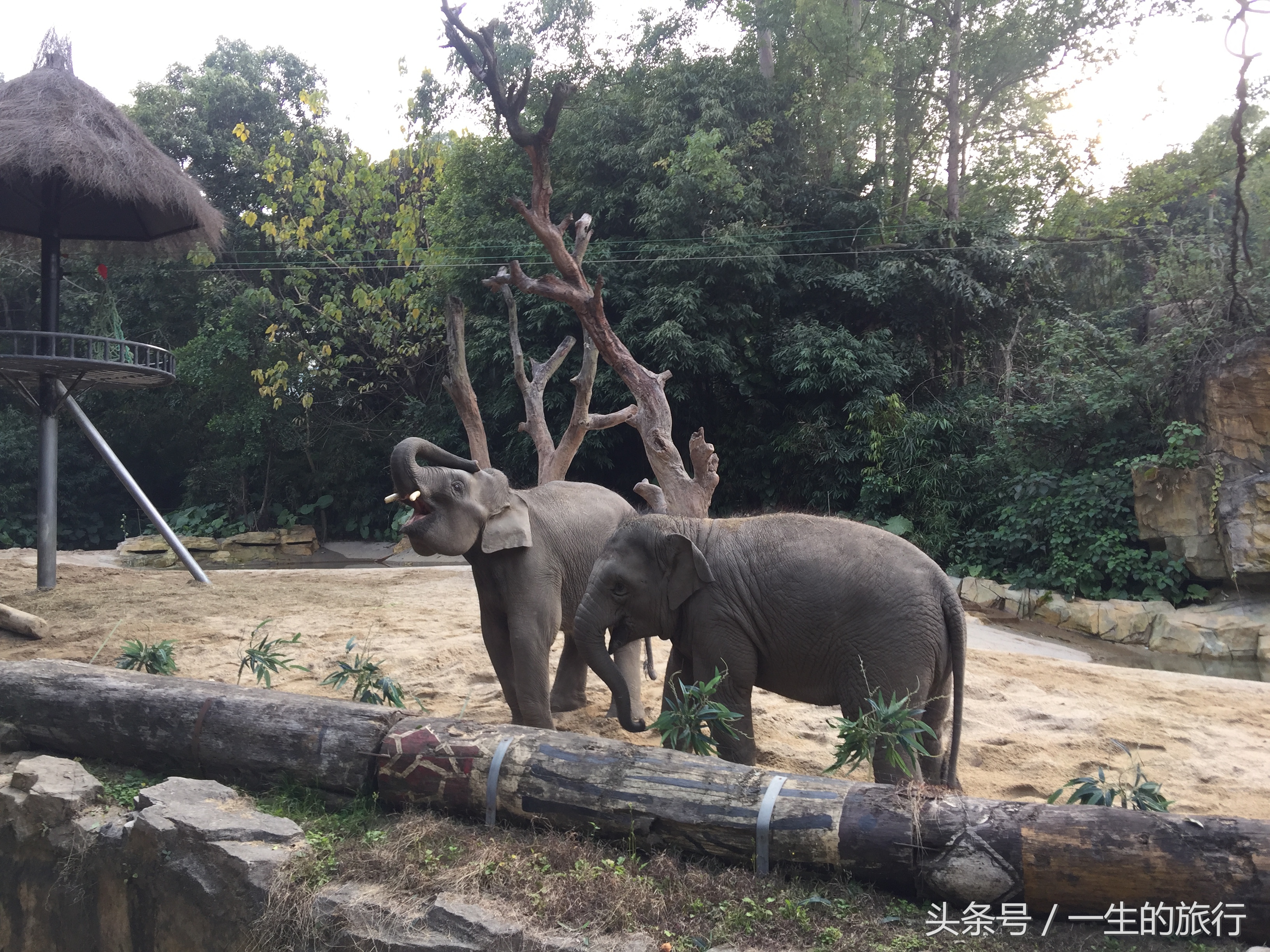 世界上真的有最大的动物园吗,二十元门票的动物园真的很实惠