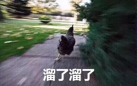 二次元角色合集海报,二次元人物集体照