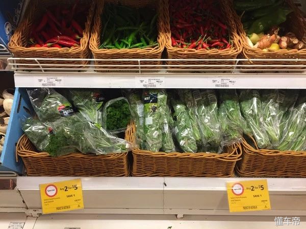 房车自驾游各国的真实生活,自驾环游世界的房车有多漂亮