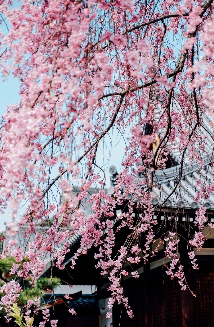 江南六言古诗,江南六大古镇古诗