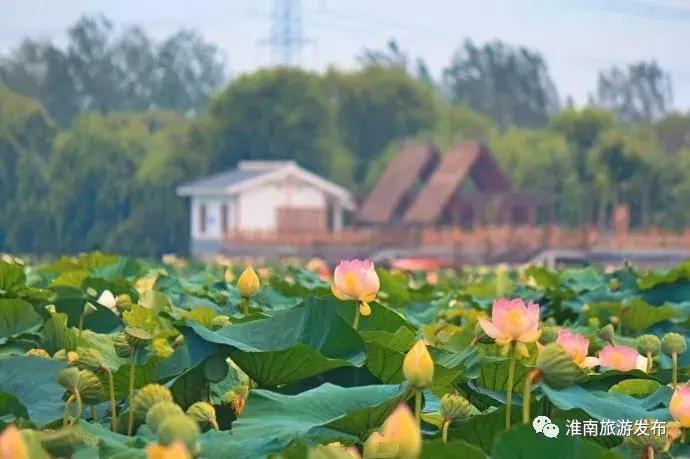 淮南是一座什么之城,淮南为什么是最大城市