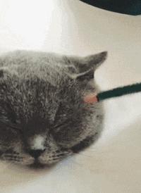 绘画中的一切都是假的,创意绘画是不是骗人的