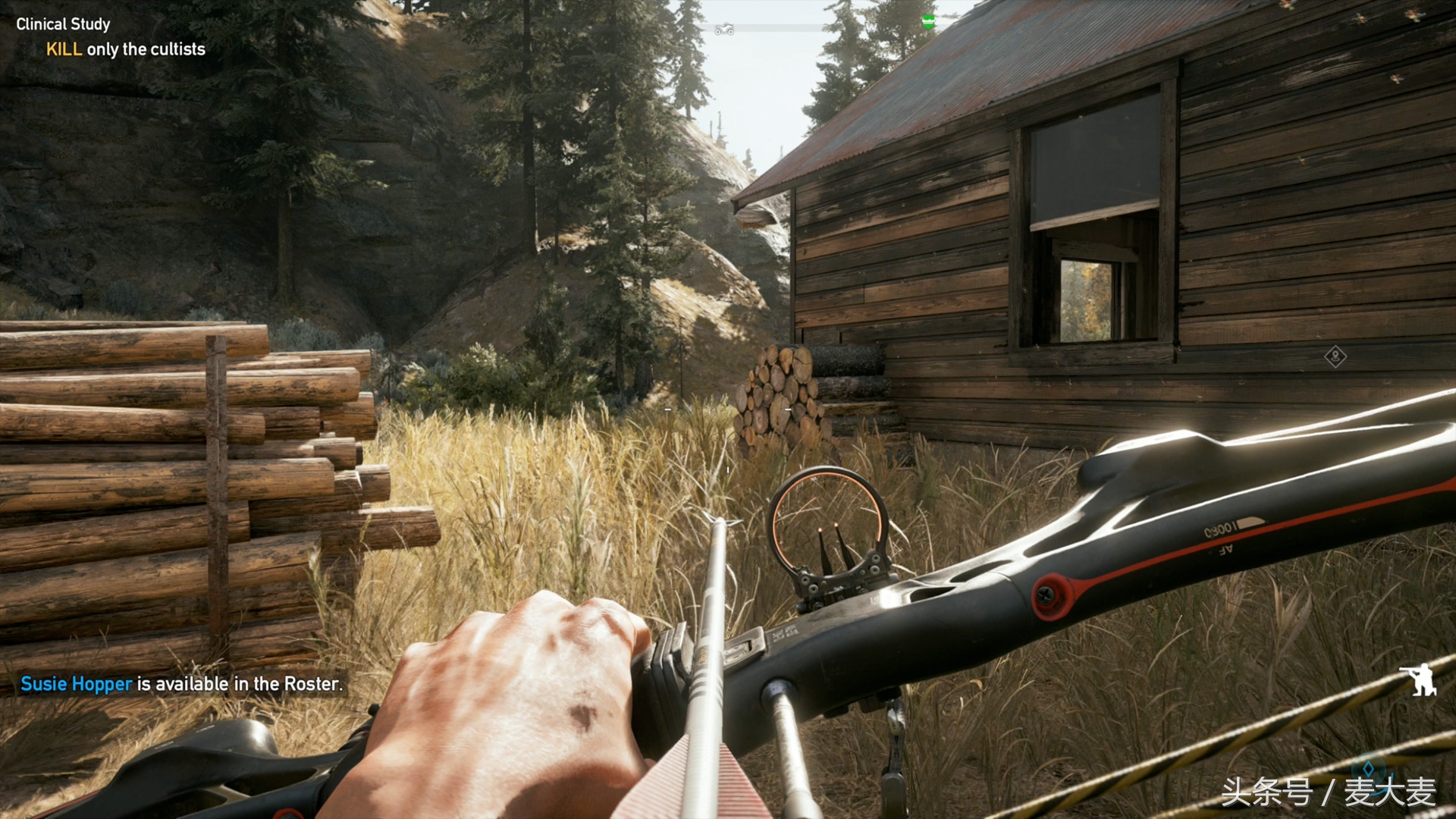 孤岛惊魂5黄金版攻略单机,麦大麦的游戏推荐