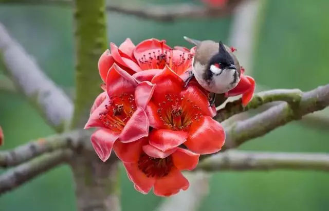 湿气变重怎么办,湿气重身体又上火怎么办