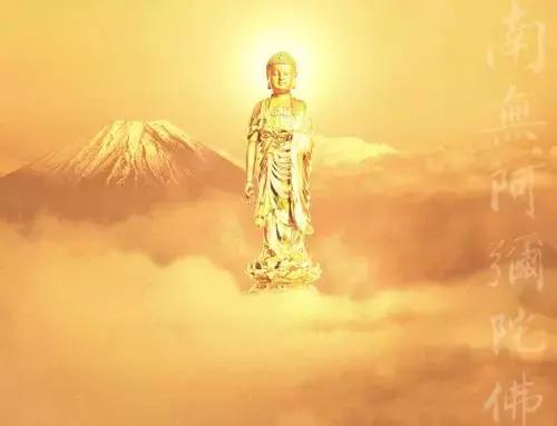 释迦牟尼佛的葬礼有没有异象 (释迦牟尼佛出生地考古发现)