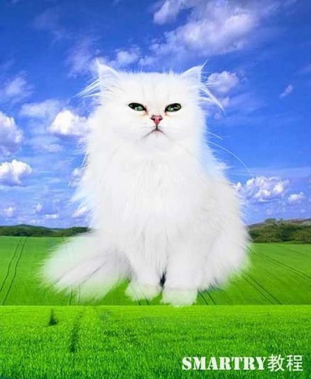 抠图ps非蒙版教程,ps抠图签名的抠图方法