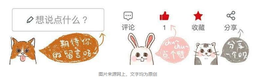 世界杯球队和猫咪的身价对比，关于中国队的象征，那可是无价之宝