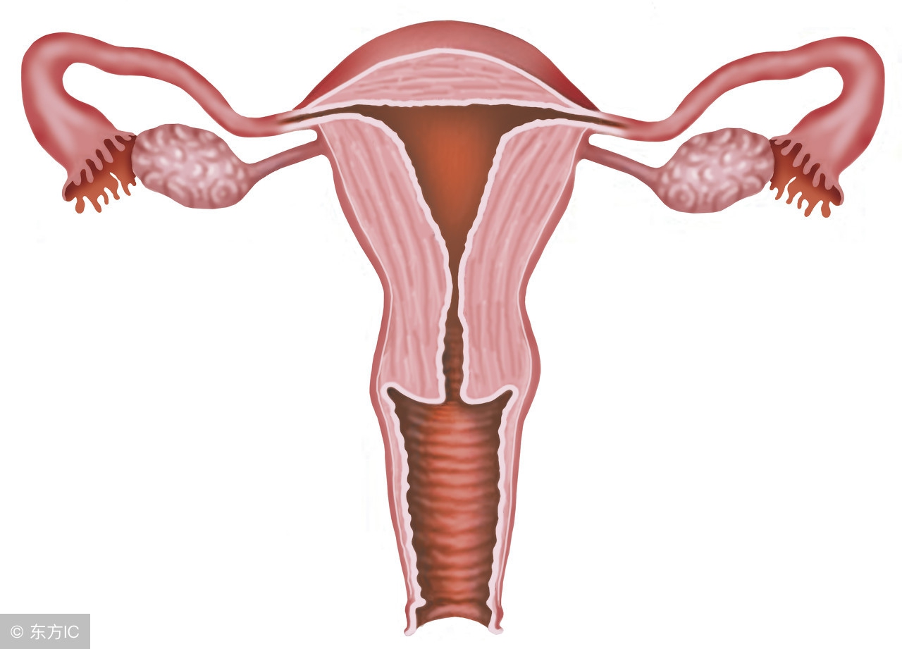 预防子宫癌症最好的方法,老年人子宫癌晚期症状有哪些