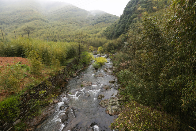 我的名字叫：鱼缸