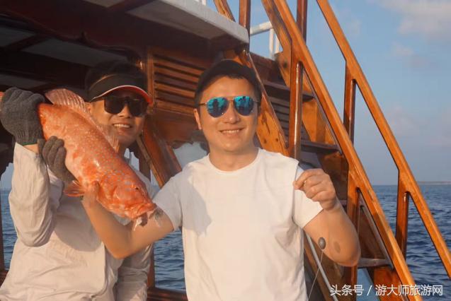 海洋宝宝来到我的世界,海洋宝宝来了吗