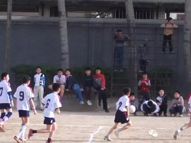 体育的育能组什么词,体育的育的偏旁