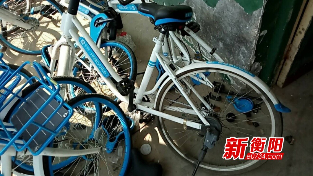 向不文明行为说“不”:哈罗单车呼吁用户文明骑行