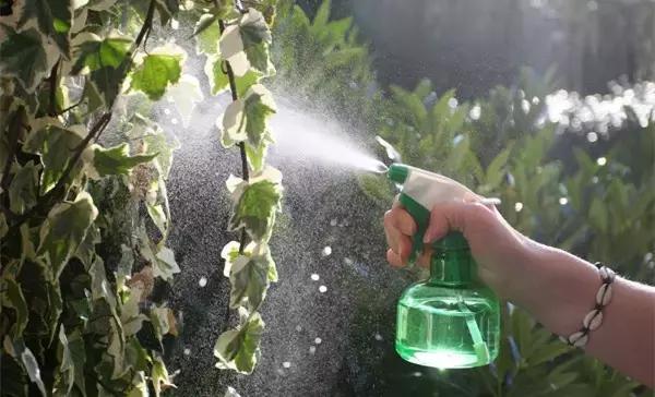 花卉栽不活怎么办,花卉枯萎怎么补救