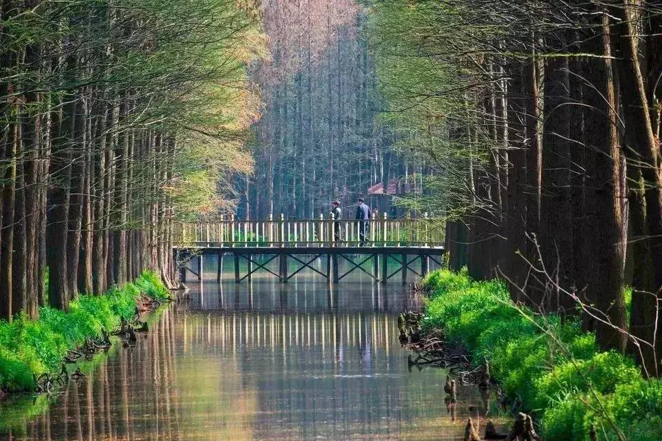 清明小长假去哪玩？国内美到炸的9条旅行线！我去第6条，你呢？