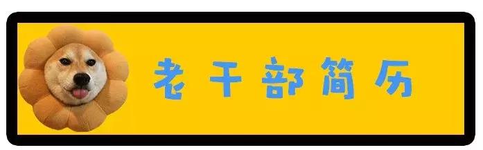 设计师简历怎么写实工作经历,设计师简历没经验学长教你这样写