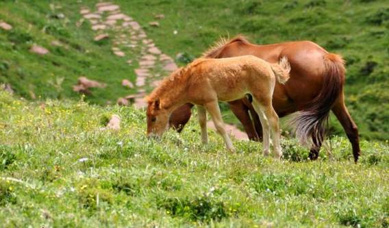 从太原出发自驾游国家一号公路,太原旅游公路自驾游最详细路线