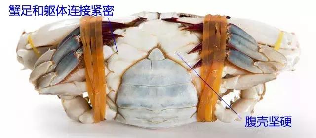 烟台海边海鲜寻找攻略,盘点海鲜市场所有进口大海鲜