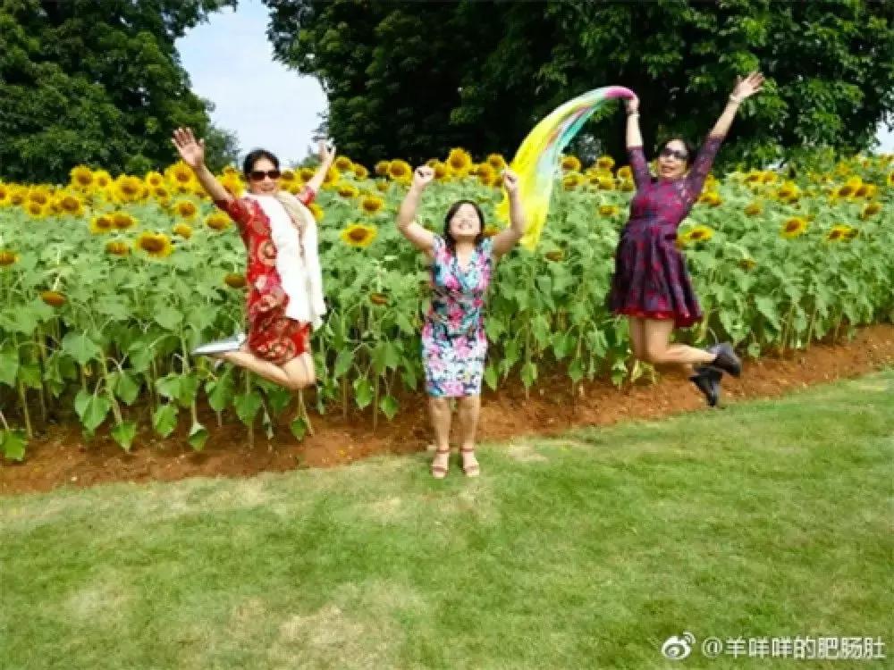 看完我妈拍的春游照片,我跟我爸都哭了……