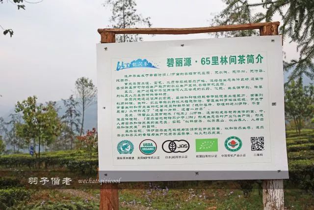 云南沧源靠近哪个国家,云南沧源最好玩的地方