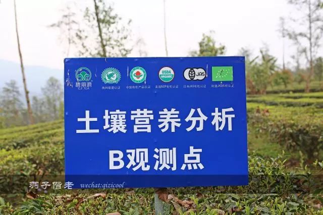 云南沧源靠近哪个国家,云南沧源最好玩的地方