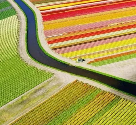 赌博、吸毒、嫖娼？带你重新认识荷兰这座“成人迪士尼”