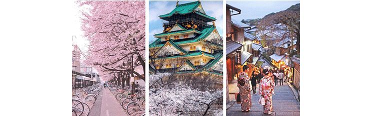 赌博、吸毒、嫖娼？带你重新认识荷兰这座“成人迪士尼”