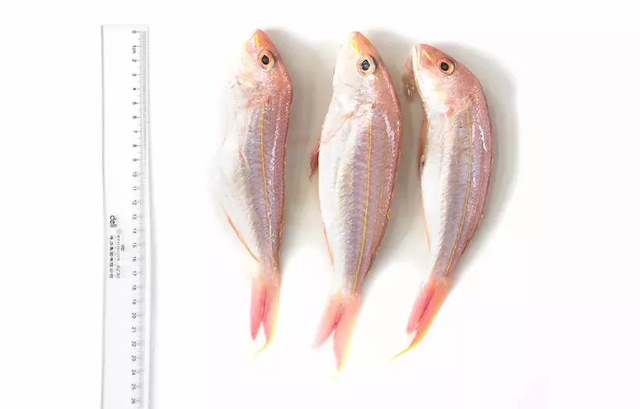 缃戜笂涔扮殑绮惧搧鐚倝,缃戜笂娣樺埌鐨勫ソ涓滆タ