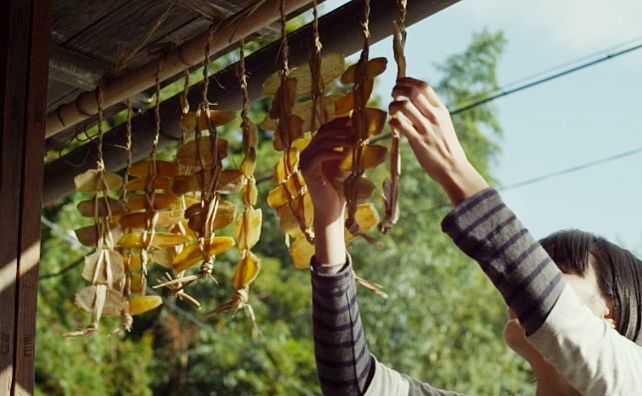 豆瓣8.2分烧脑片日本,豆瓣9分以上的日本女性电影