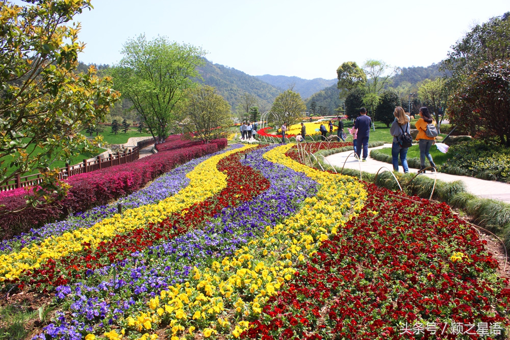宁波植物园樱花最佳拍摄,花花世界桃博园