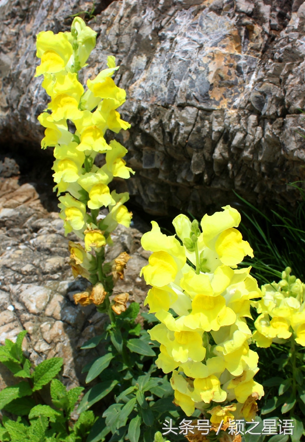 宁波植物园樱花最佳拍摄,花花世界桃博园
