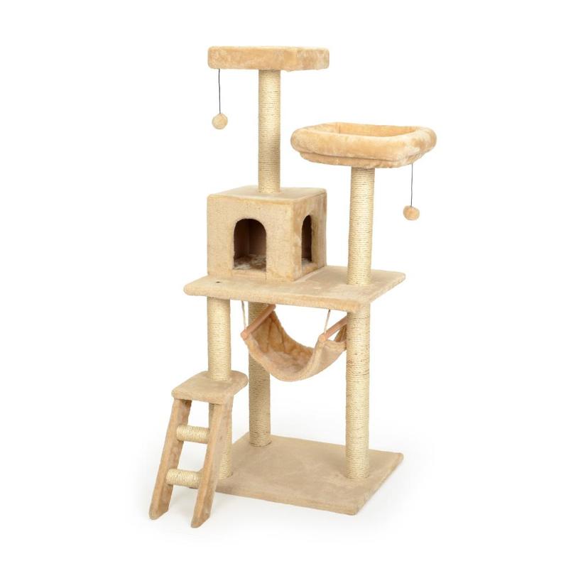 养猫家里不能有哪些东西 (家里养猫的应该知道哪些小技巧)