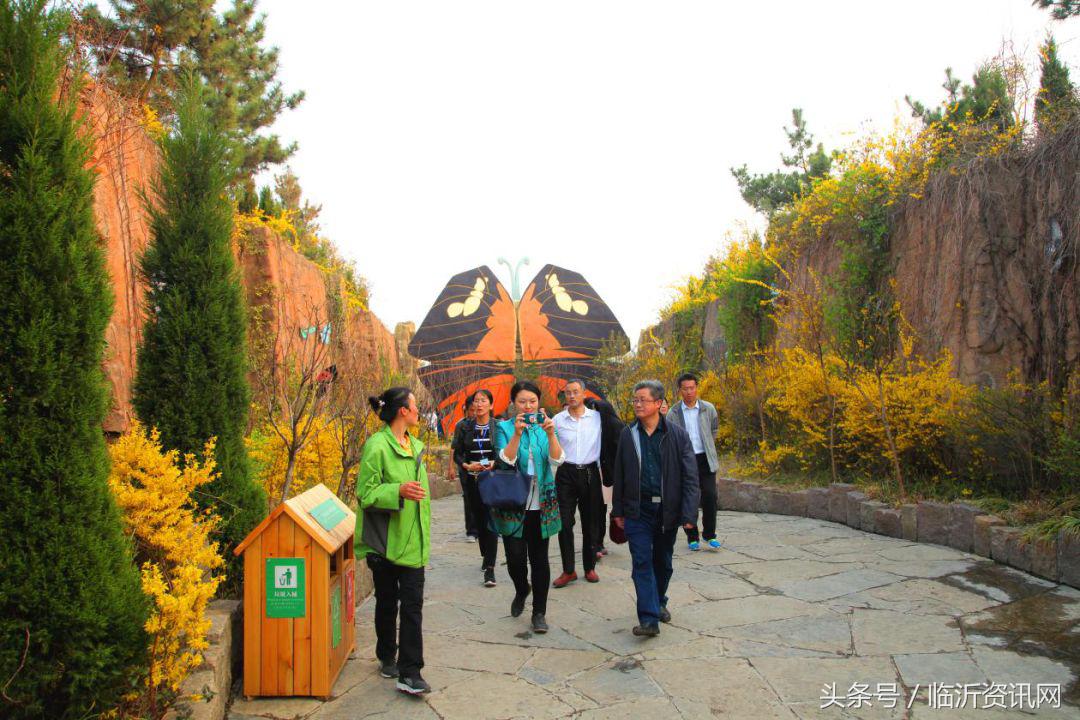 临沂春节旅游推荐,临沂春天旅游推荐