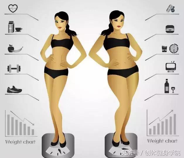 左旋肉碱胶囊减肥功效,左旋肉碱减肥亲身经历