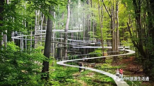 你绝对没见过的石头,你绝对没见过的象牙山