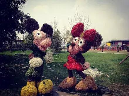 三亚房车租赁游,三亚租赁房车自驾