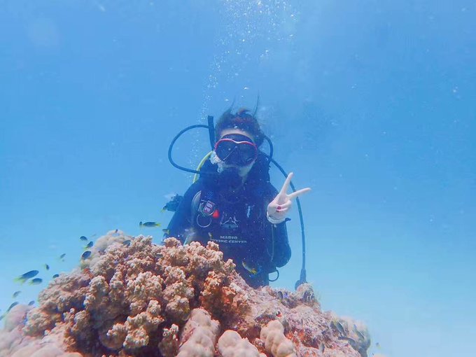 帕劳体验潜水,帕劳潜水胜地是什么体验