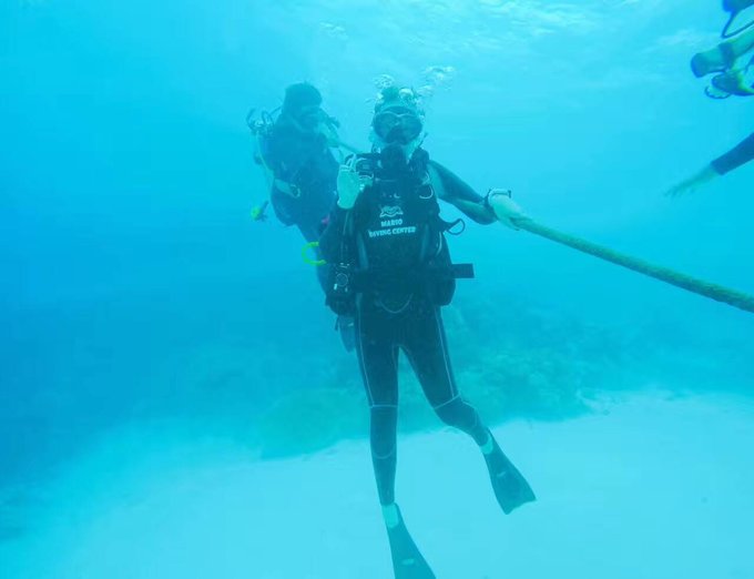 帕劳体验潜水,帕劳潜水胜地是什么体验