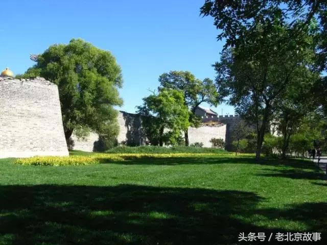 北京40个春游好去处!赏花、放风筝、爬山、烧烤……想怎么嗨都行!