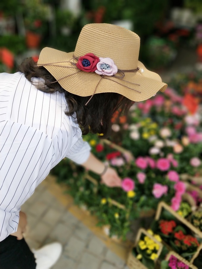 深圳东莞旅游景点推荐,东莞免费景点排名大全集