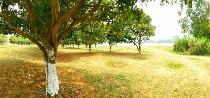 深圳东莞附近游玩景点一日游,深圳东莞游玩景点推荐周边自驾游