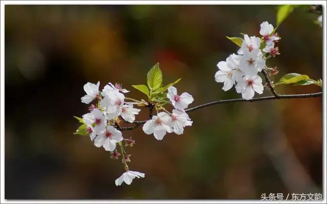 想念天堂里的家公家婆,怀念我的家公家婆