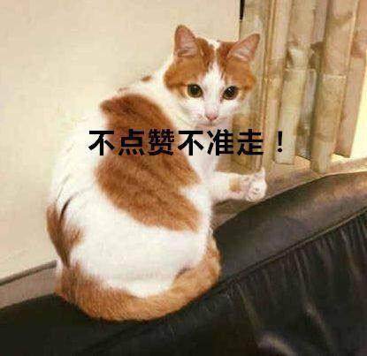 鏂楅奔鐨勬柊涓夐獨鐜扮姸,鏂楅奔鐩存挱涓夐獨浠嬬粛