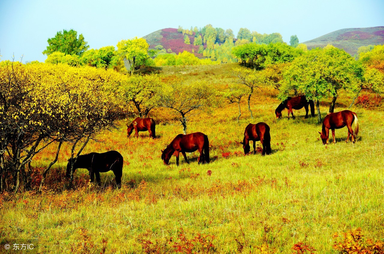 河北最美的4个地方，也是最宜居的城市，石家庄没上榜，你会去吗