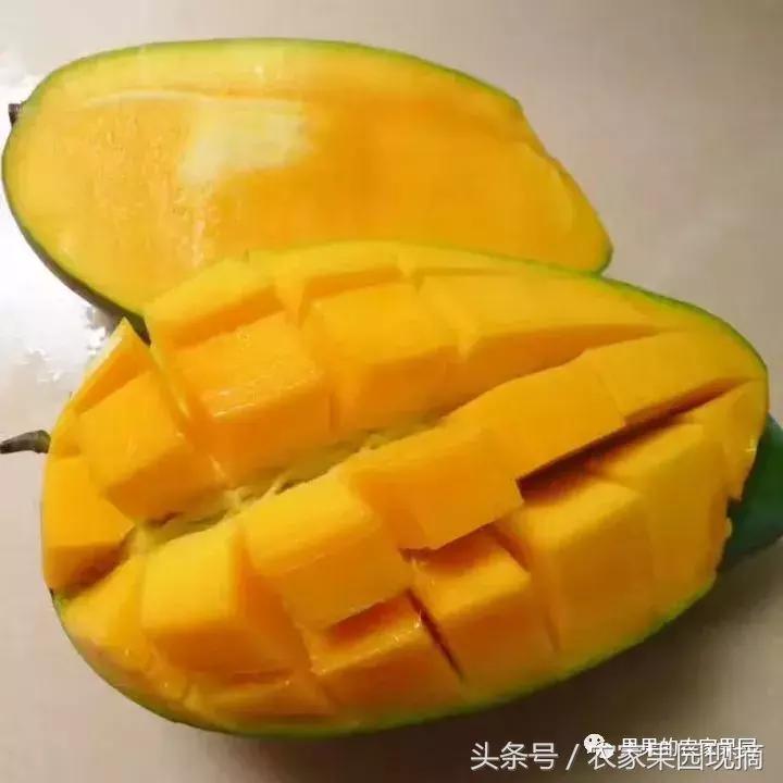 芒果品种千千万，最好吃的是哪个品种？你知道吗？
