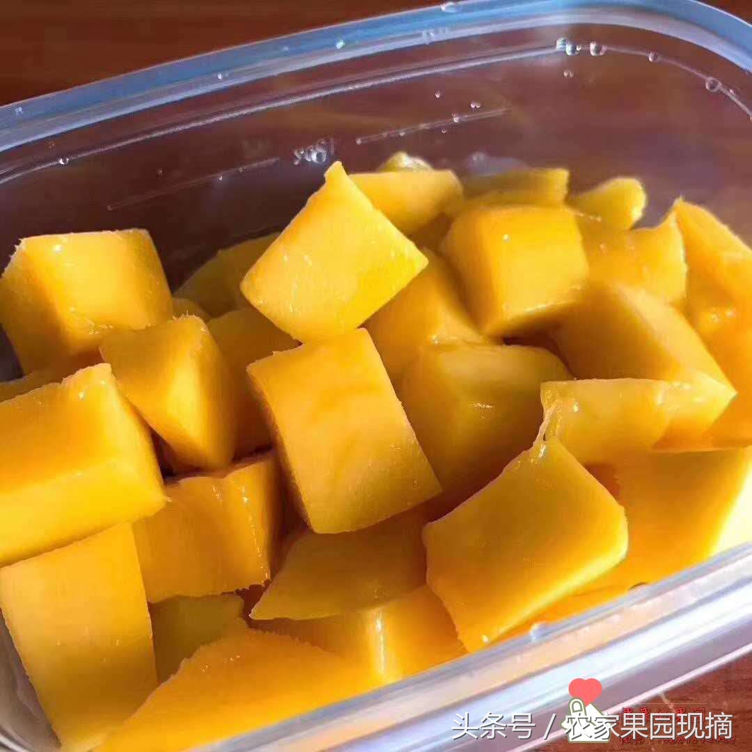 芒果有多少品种哪种更好吃,什么芒果品种最大最好吃