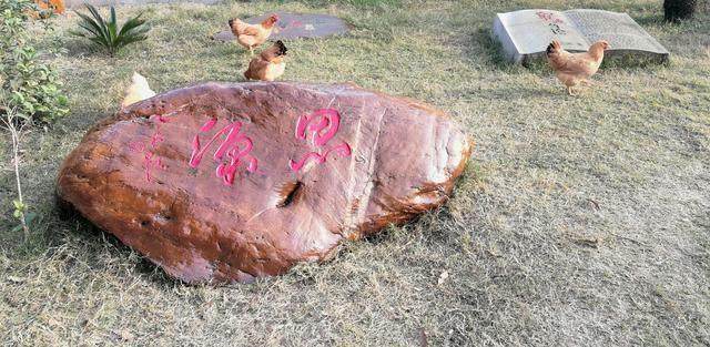 哲字代表寓意,哲寓寓意是什么