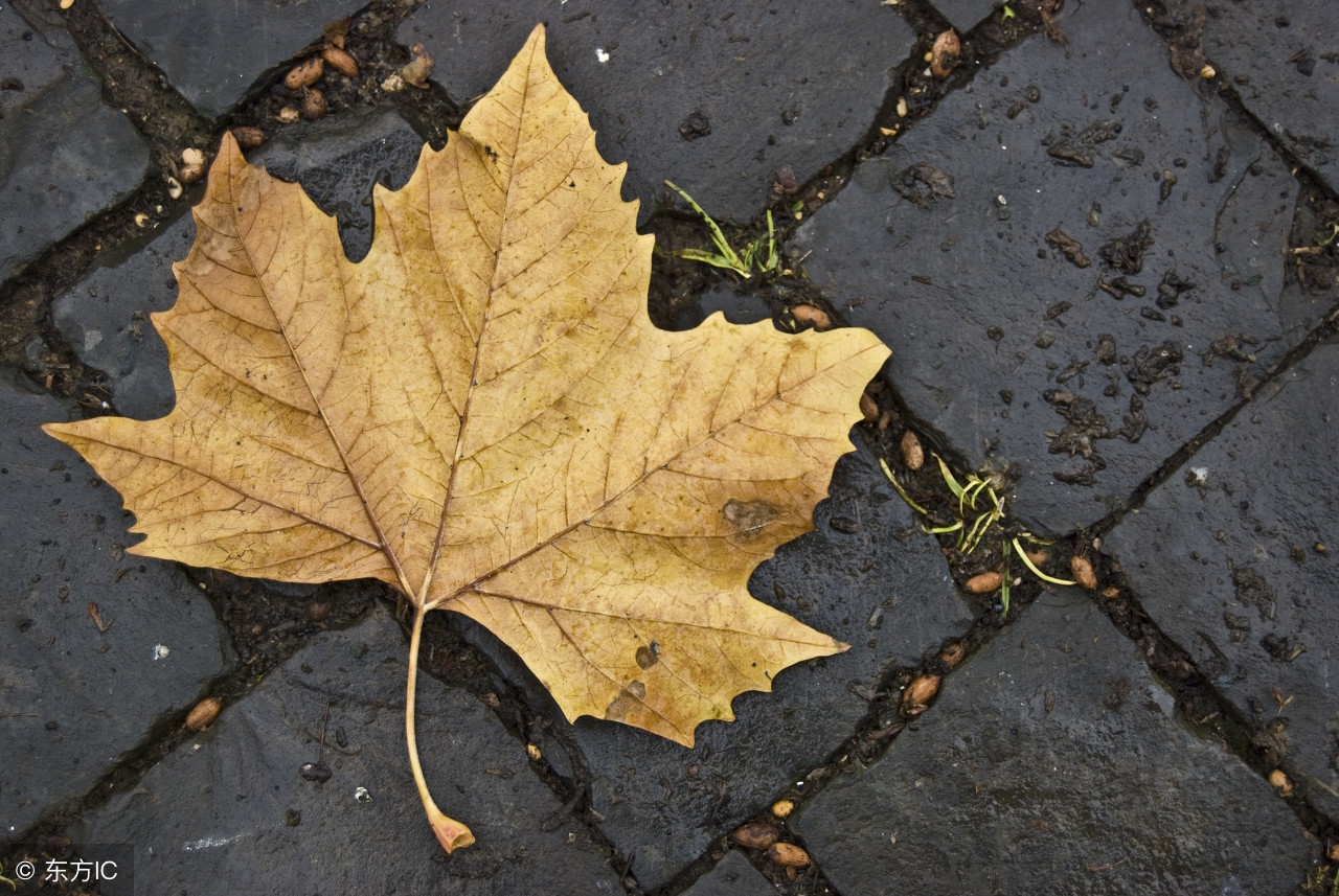 风湿病学习班（8）--干燥综合征