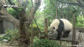 法治新闻全集完整版,严查机构改革中的违法问题