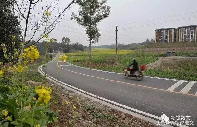 公路铁路有一天会被他们踩在脚下，他们的儿孙会跟着公路私奔