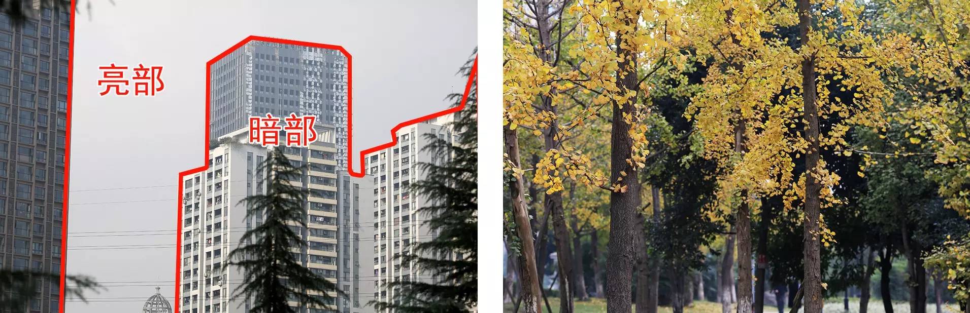 不会玩多曝摄影？看完这10个问题就会了